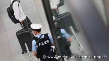 Teddybär wird zum Schmuggel-Versteck – Zoll am Flughafen München macht kuriose Entdeckung