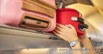 Ryanair hand luggage fees court ruling could mean end of cheap flights to Spain