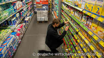 Fachkräftemangel trotz Zuwanderung: Warum gibt es 3 Millionen junge Menschen ohne Berufsabschluss?