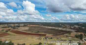 Close-to-town property Sandy Knowe presented with subdivision potential