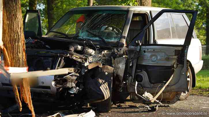 Automobilist zwaargewond door botsing tegen boom