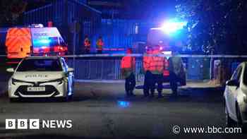 Murder arrest after teen dies in 'targeted attack'