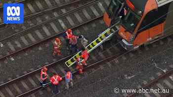 Hundreds begin to be freed after 1,500-volt wire falls on Sydney train