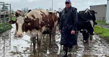 Dreary wet culminates in major mid-coast flood as extended rain continues