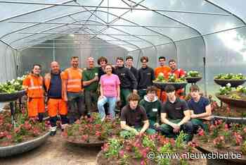 Tuinbouwschool zet bloemetjes buiten in Kortrijk: “Leerlingen stond in voor kweken en planten van de bloemen”
