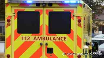 Auto botst tegen boom in Groenheuvelstraat: bestuurder (56) lichtgewond