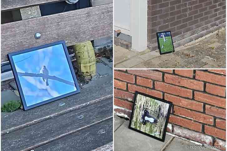 Tweede dag van kunstproject ‘Vanuit Purmerend, met Liefde’ – weer zes ingelijste foto’s verspreid