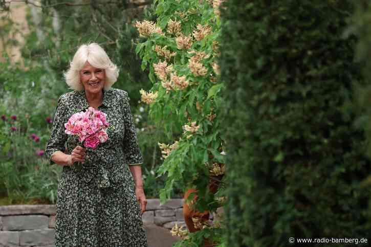 Chelsea Flower Show: Im Namen der Rose