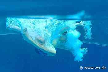 Bald auch KI in Münsters Schwimmbädern?