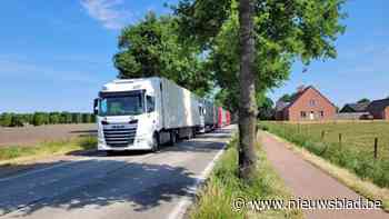 Ongeval op E19 creëert muur van vrachtwagens op Brechtseweg tussen Loenhout en Brecht