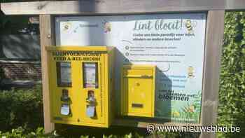 Gevarieerd bloemenzaad uit de automaat en een bijenfietsroute voor Wereldbijendag