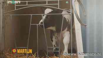 Wakker Dier wil boetes voor boeren uit Boer zoekt Vrouw wegens behandeling kalfjes