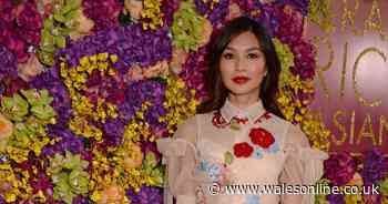 Gemma Chan says UK aid cuts cannot be borne by ‘most vulnerable children’