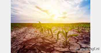 "Al vroeg in het seizoen veel water onttrokken uit bassin Ardo"