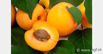 Zuid-Europese landen vragen soepelere beschikbaarheid gewasbeschermingsmiddelen steenfruit