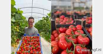 "Teeltstrategie aangepast door veranderende marktvraag en toenemende concurrentie"