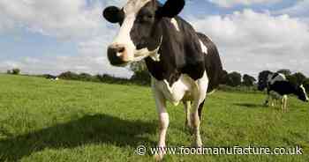 Mad cow disease case detected on UK farm