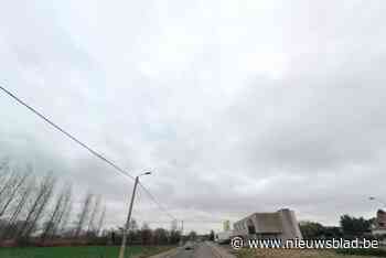 Rioleringswerken in Veilinglaan