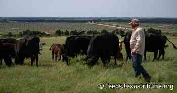 Why a Central Texas farmer is leading a one-man mission to stop renewable energy