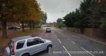 Teenagers, 16 and 17, charged after kittens 'tortured and killed' in Ruislip