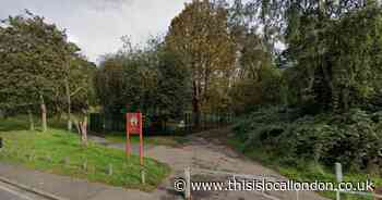 Man dies after incident at popular park in Charlton