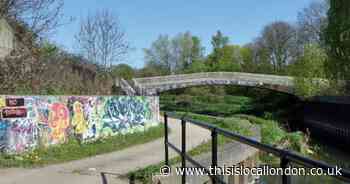 Woman taken to hospital after being rescued from water in Redbridge