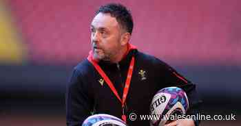 Wales announce new coaching team minutes before squad revealed