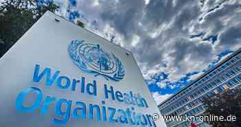WHO: Pandemievertrag soll künftig Panik und Chaos verhindern