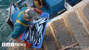 Like octopus, the UK-EU deal is a mixed blessing