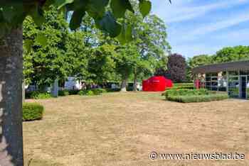 Vrouw (39) overlijdt na steekpartij op parking van psychiatrisch ziekenhuis in Eeklo, verdachte slaat op de vlucht maar wordt gevat