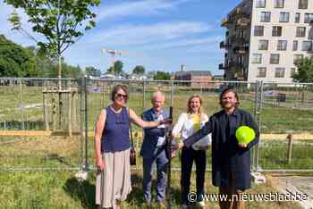Cohousing Lokeren vult Hoedhaarsite verder in: “Sociaal contact is hier verzekerd”