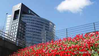 Storing treft ABN AMRO: klanten ervaren problemen met pinnen en bankieren
