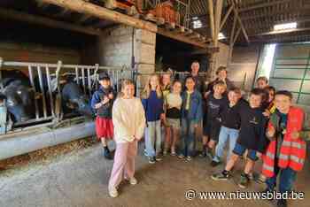 180 kinderen ontdekken landbouwsector op laatste Boerendagen: “We hopen dat het project in een of andere vorm verder kan gaan”