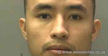 Vietnamese man caught in drug bust tells judge he 'just can't return' to homeland