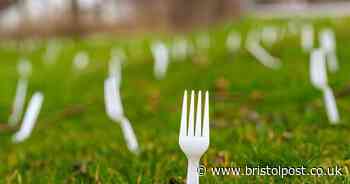 Gardeners told to stick plastic forks around plants to protect them