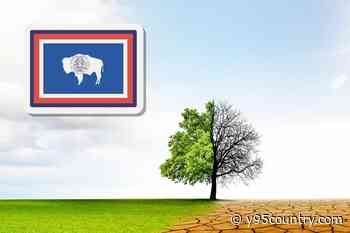 Some Wyoming Counties See Extreme Drought While Others Thrive