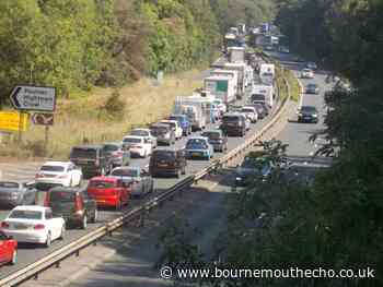 A31 closures from Ringwood to bring disruption for motorists