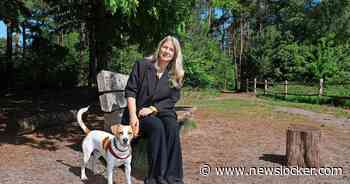 Wandelaars op Den Treek alert na wéér een bijtincident met wolf: ’Mogelijk herkent hij je niet als mens en valt hij aan’