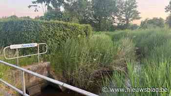 “Het was een van mijn beste vrienden”: Retie rouwt om Danny (63) na tragisch ongeval met tractor