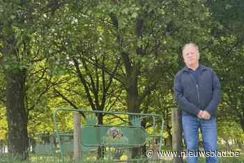 Bellewaerde moet 223 bomen laten staan na procedure Ivan: “Groene energie opwekken door groen te rooien, voelt wrang aan”
