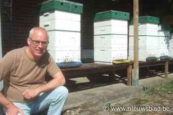 Imker Nico (46) is blij met het droge en zonnige voorjaar: “Absoluut nog geen garantie voor top honingjaar”