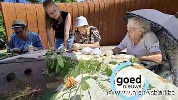 Senioren van Pelts rusthuis maken kunstwerkjes in Bosland met kunstenaar Will Beckers
