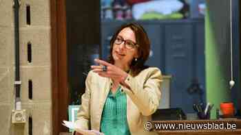 OCMW's dreigen te verzuipen in het werk: "Als alle afstuderende maatschappelijk werkers kiezen voor het OCMW, zijn er nog mensen te weinig"