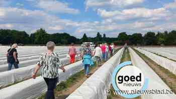 Femma Kaulille ontdekt het witte goud