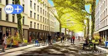 Klimainseln und Mooswände: Was ist aus Begrünung von Hannovers City geworden?