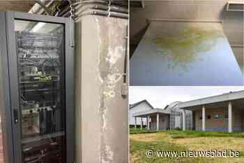 Schimmels, lekkende daken en elektrocutiegevaar: “Gerechtsgebouwen zijn in erbarmelijke toestand”