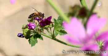 'In this season of U-turns stop the traffic chaos' - Letters