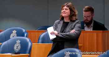 Kamer wil kabinet naar verboden pride-mars in Hongarije sturen