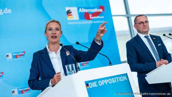 AfD Ausschussvorsitz: Schwarz-Rot verhindert AfD-Politiker  - Alle sechs AfD-Kandidatin scheitern