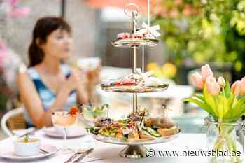 Waar vind je de beste high tea van Limburg? “Dit voelt als Alice in Wonderland”